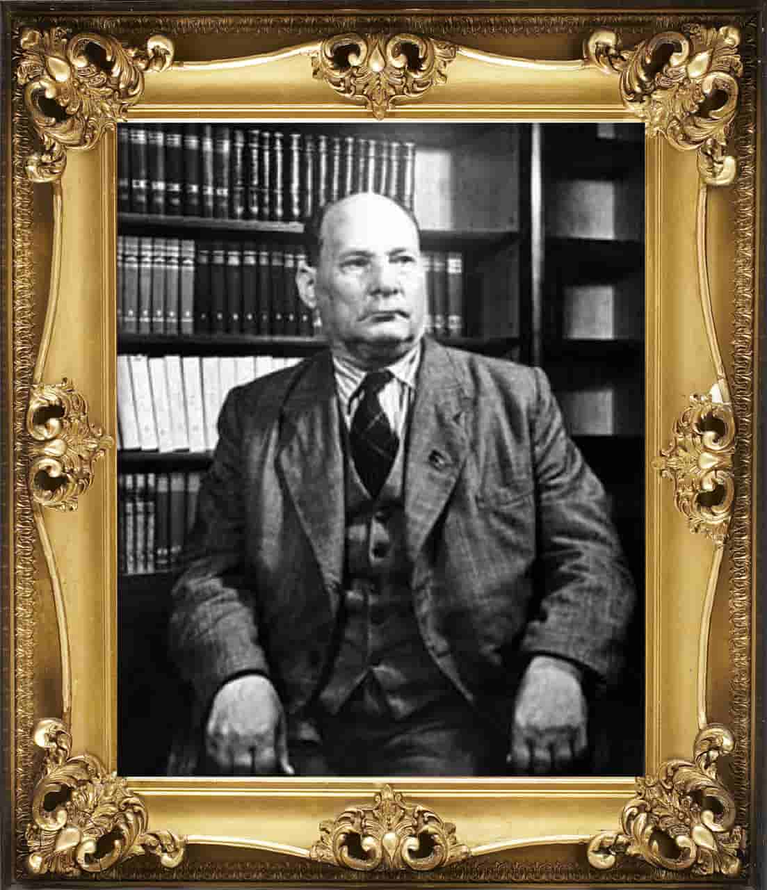 Книга под елкой