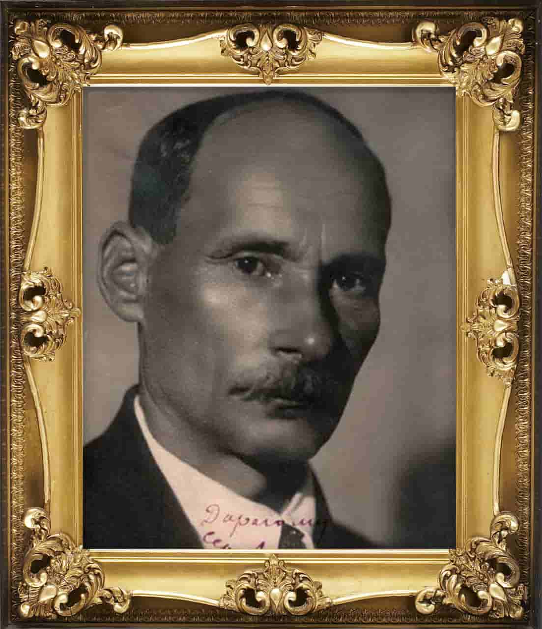 Книга под елкой