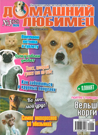 Домашний любимец