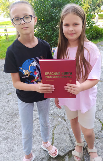 путешествие